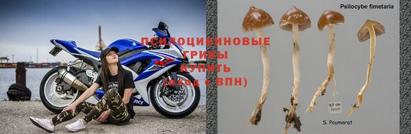 индика Абинск