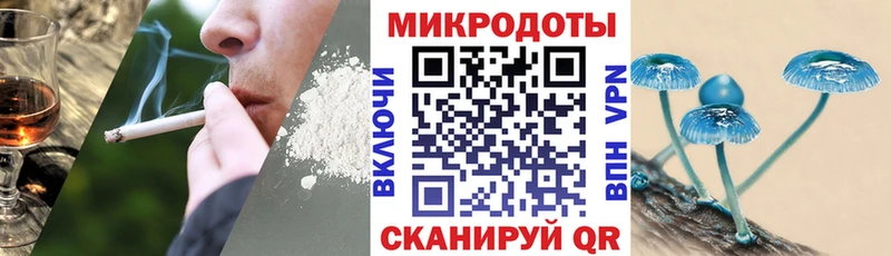 Галлюциногенные грибы Psilocybe  где можно купить   Переславль-Залесский 